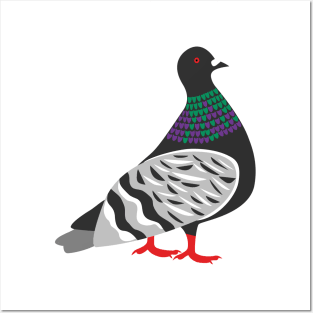 Pigeon No. 3 Posters and Art